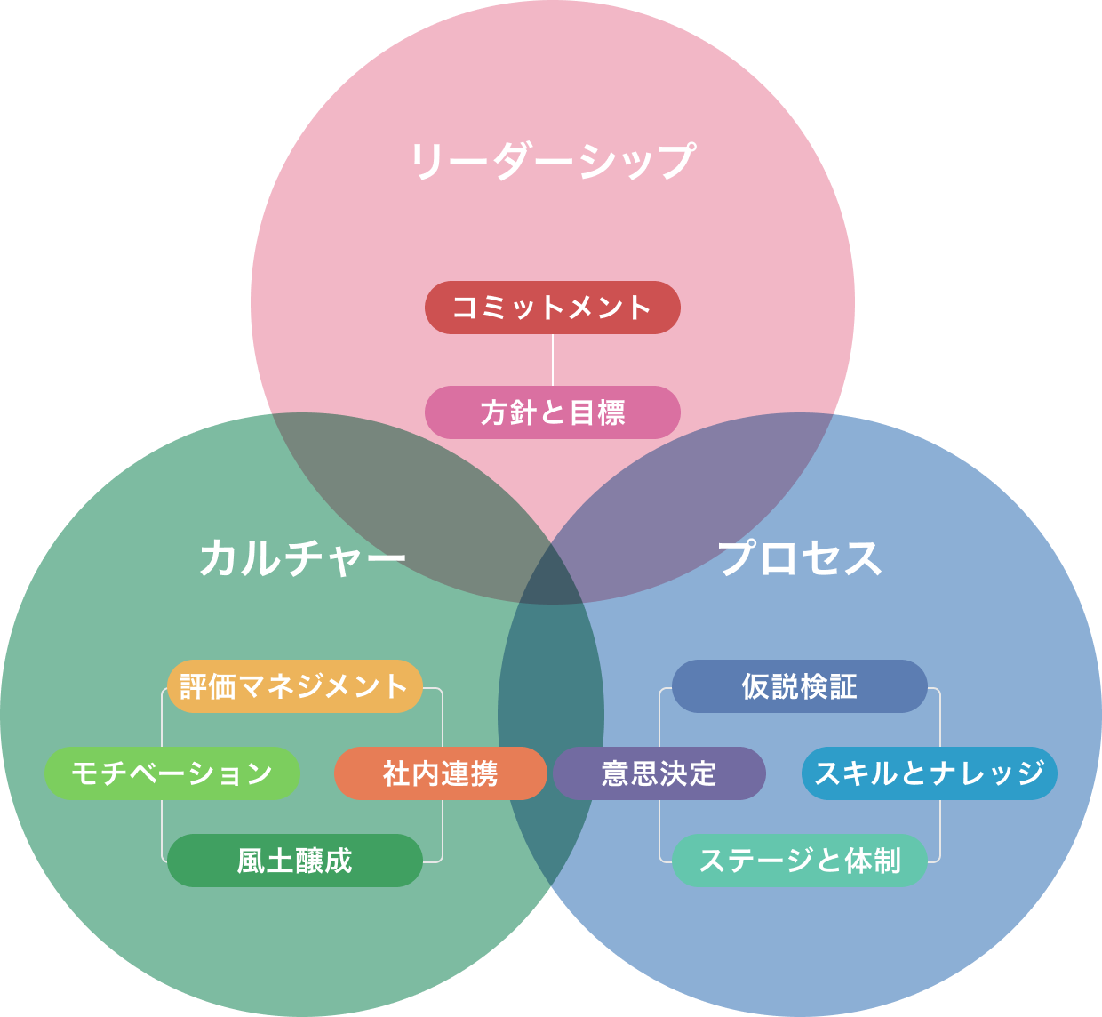 3つの支援領域と10のアプローチ：リーダーシップ、カルチャー、プロセス